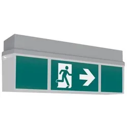 RP Technik, Sicherheitskennzeichnung, KWIDK413SC RZ-Leuchte Decke,EB+SC/3h,ink