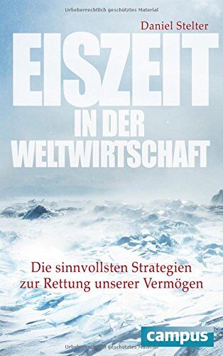 Daniel Stelter - Eiszeit in der Weltwirtschaft: Die sinnvollsten Strategien zur Rettung unserer Vermögen - Preis vom 14.10.2026 23:07:16 h