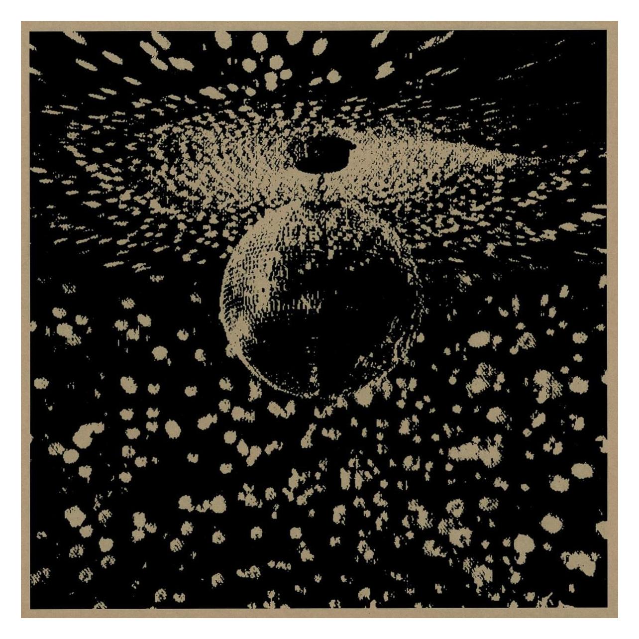 Reprise Records Mirror Ball (Neil Young) (70538792)