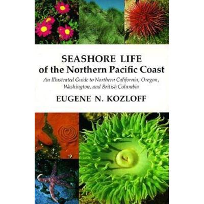 Seashore Life of the Northern Pacific Coast, Taschenbuch von Eugene N. Kozloff, University Of Washington Press