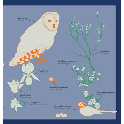Kleine Vogel-Wunderkammer, Gebundene Ausgabe von , Eichhörnchenverlag, 978-3-9818726-4-4
