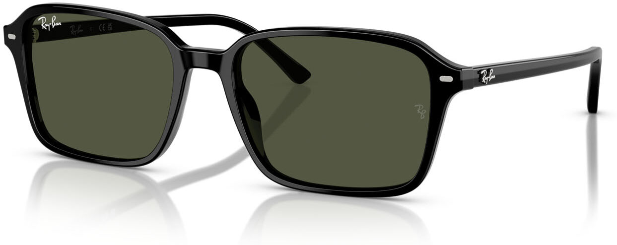 Ray-Ban RB 2231 (901/31)