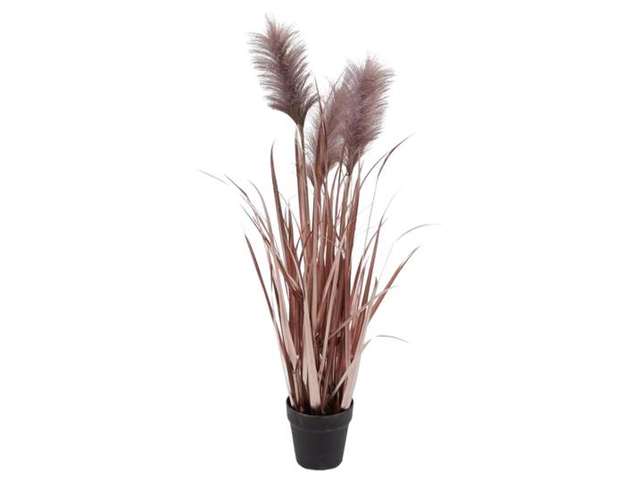 Kunstpflanzen Pampasgrass Lilia H: 100 cm Edg