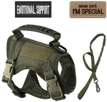Uplifted Finds Tactical Escape Proof Cat Harness & Leash Kit green