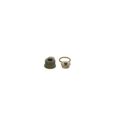 BOSCH Reparatursatz, Common-Rail-System f00n202418