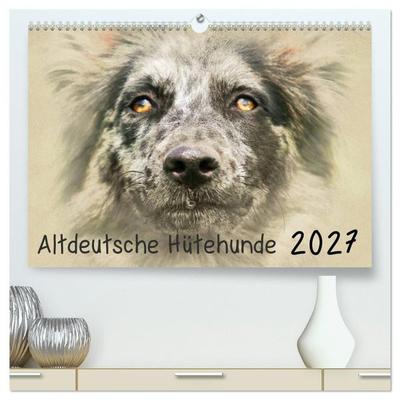 Altdeutsche Hütehunde 2027 (hochwertiger Premium Wandkalender 2027 DIN A2 quer), Kunstdruck in Hochglanz