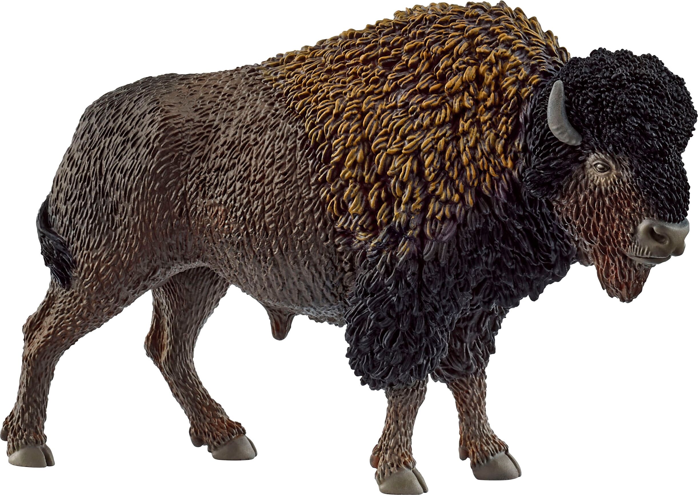 Spielfigur SCHLEICH "WILD LIFE, Bison (14879)", bunt, Spielfiguren, Kinder, Kunststoff, Spielfigur