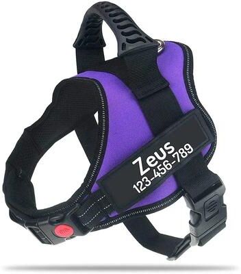 Inspire Essentials SecureFit Personalized Dog Harness 5 s