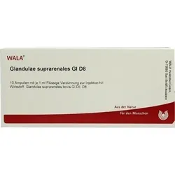GLANDULAE SUPRARENALES GL D 8 Ampullen 10 ml