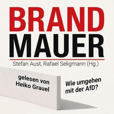 Brandmauer: Wie umgehen mit der AfD? - Stefan Aust,Rafael Seligmann,Margot Kässmann,Theo Waigel,Sigmar Gabriel, Audio, 4071498845431