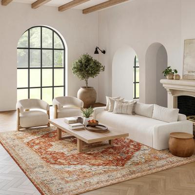 Nourison Petra Indoor only Persian Area Rug