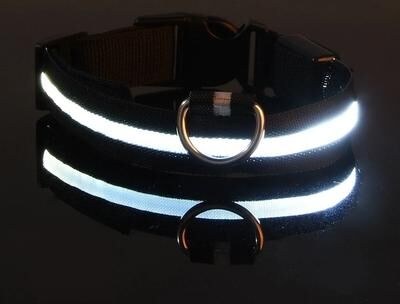 Uplifted Finds Nylon LED Night Safety Glow Dog Leash And Collar m black