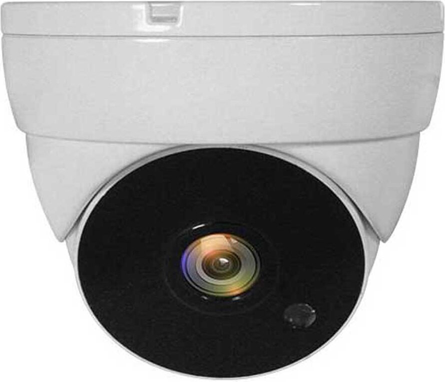 Level One ACS-5302 CCTV Dome Camera 2MP met IR