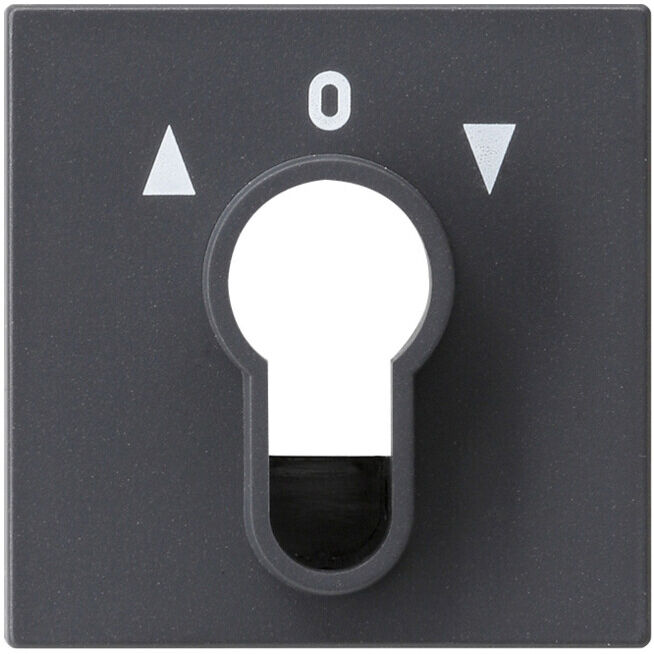 Gira Plaque centrale porte-clés anthracite System55 066428 (066428)