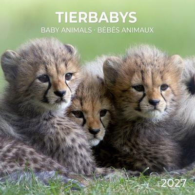 Tierbabys / Baby Animals 2027