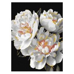 Ideyka Malen nach Zahlen - Weisse Knospen 30x40cm (69930162)