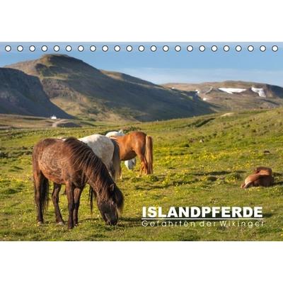 Islandpferde: Gefährten der Wikinger (Tischkalender immerwährend DIN A5 quer)