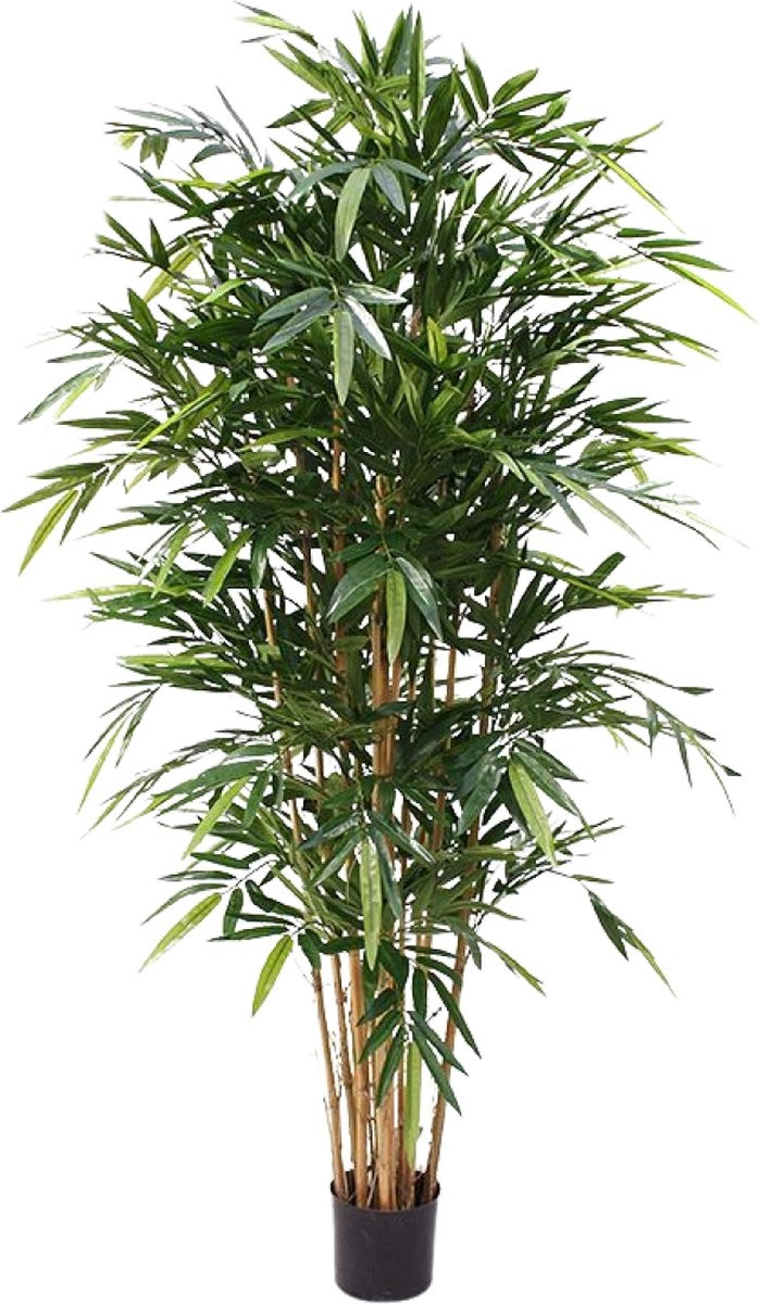Maxifleur Bamboe Deluxe Kunstplant 180 cm