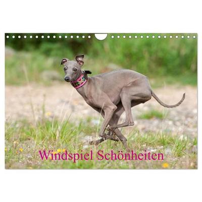 Windspiel Schönheiten (Wandkalender 2027 DIN A4 quer), CALVENDO Monatskalender
