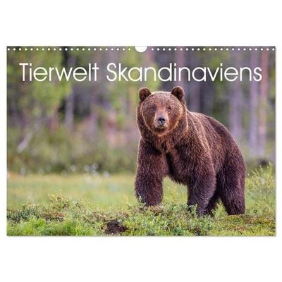 Tierwelt Skandinaviens (Wandkalender 2027 DIN A3 quer), CALVENDO Monatskalender