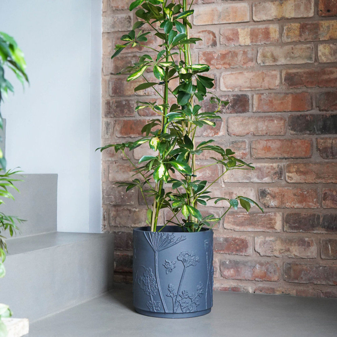 Ivyline Kew Stoneware Meadow Planter 24 cm H x 24 cm W x 24 cm D