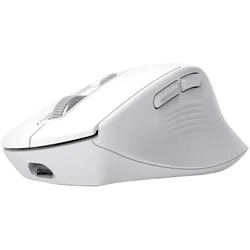 Trust Niven Comfort Multidevice Wireless Mouse - White