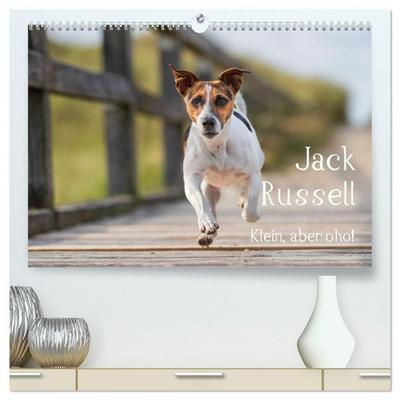 Jack Russell - Klein, aber oho! (hochwertiger Premium Wandkalender 2027 DIN A2 quer), Kunstdruck in Hochglanz