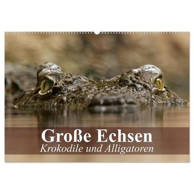 Große Echsen. Krokodile und Alligatoren (Wandkalender 2027 DIN A2 quer), CALVENDO Monatskalender