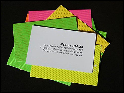 Eva Jung - Wertvollwort. Die Bibel - 31 x Strahlkraft* - Preis vom 30.09.2026 22:30:23 h