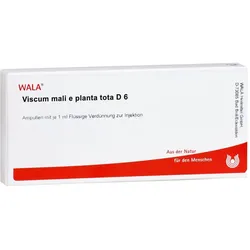 Viscum Mali e planta tota D 6 Ampullen