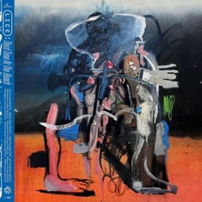 Third Time At The Beach - Lice, Vinyl