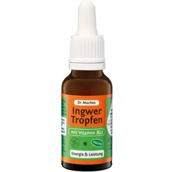 Dr. Muches Ingwer Tropfen 20 ml Tropfen