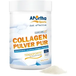 APOrtha® Sports TENDOFORTE® B (Rind) Collagen-Pulver PUR 300 g