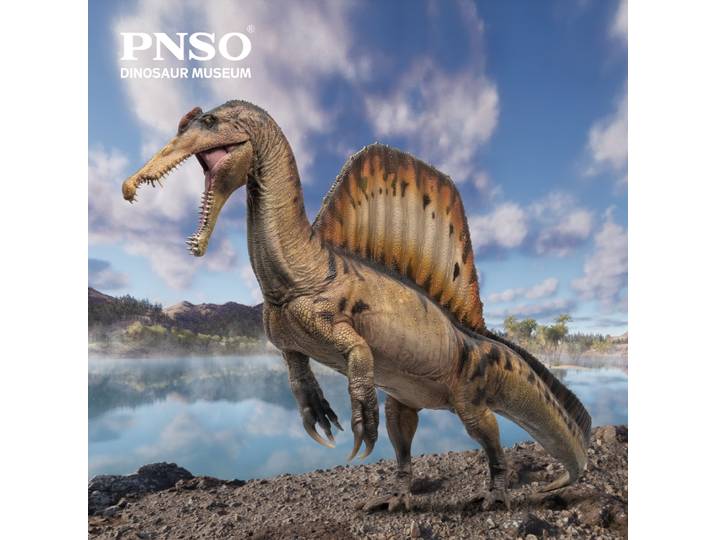 Série PNSO Dinosaur Museums:19AYMEN The Spinosaurus 1:35 Modèle d'art scientifique