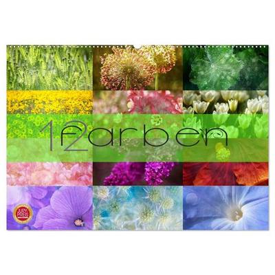 12 Farben (Wandkalender 2027 DIN A2 quer), CALVENDO Monatskalender