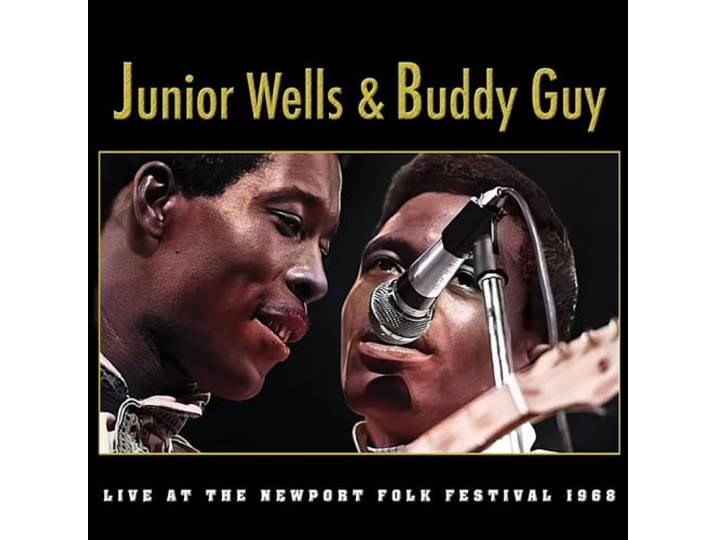 Live at the Newport Folk Festival 1968
