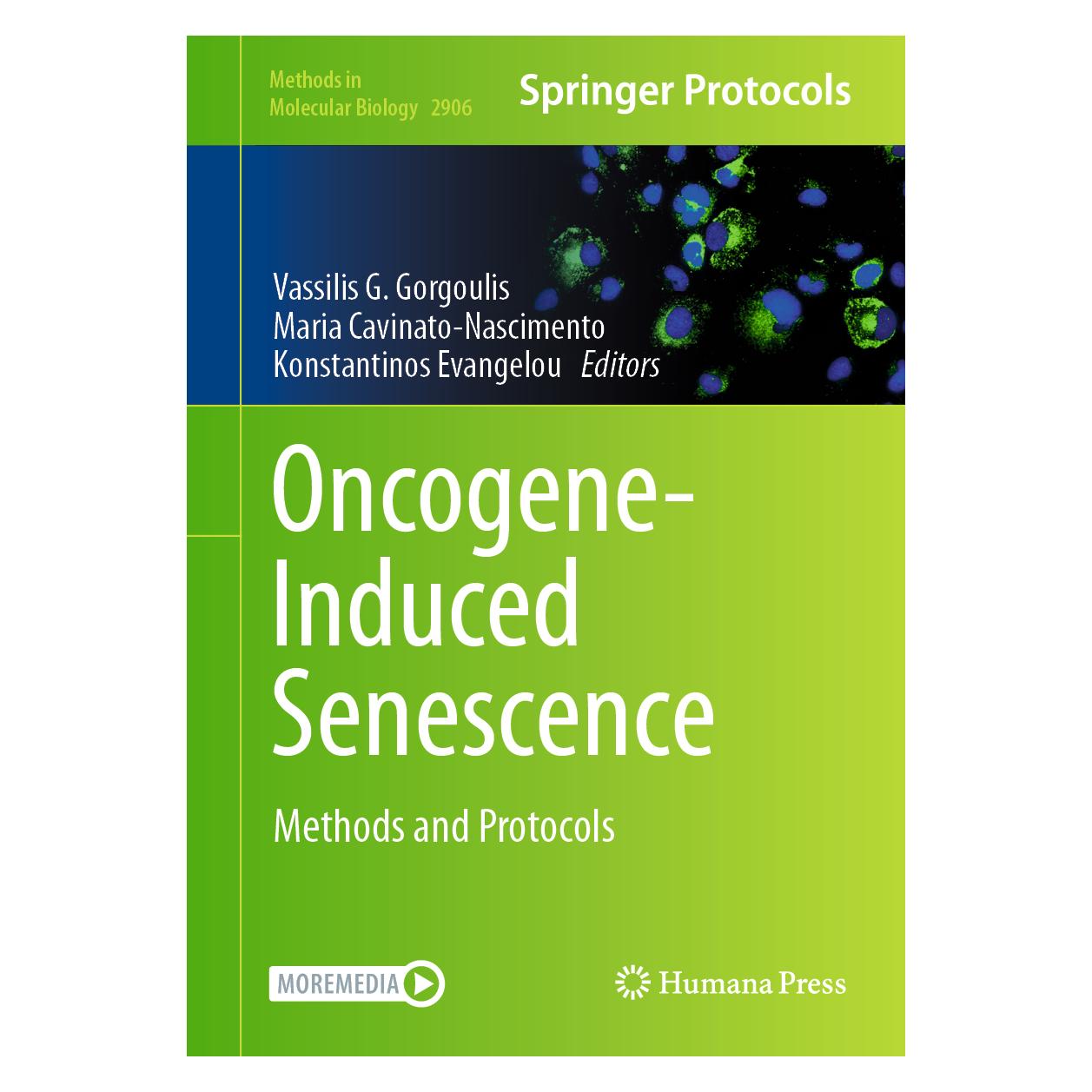 Springer Oncogene-Induced Senescence (Englisch, Hardcover, Konstantinos Evangelou, Maria Cavinato) (62164776)