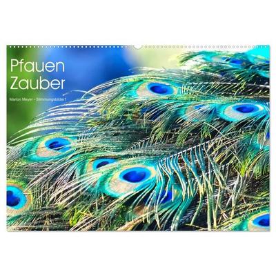 Pfauen Zauber (Wandkalender 2027 DIN A2 quer), CALVENDO Monatskalender