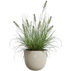 Elho, Blumentopf, Pflanzengefäss Sereh rund ø 30 cm (30 x 25 cm)