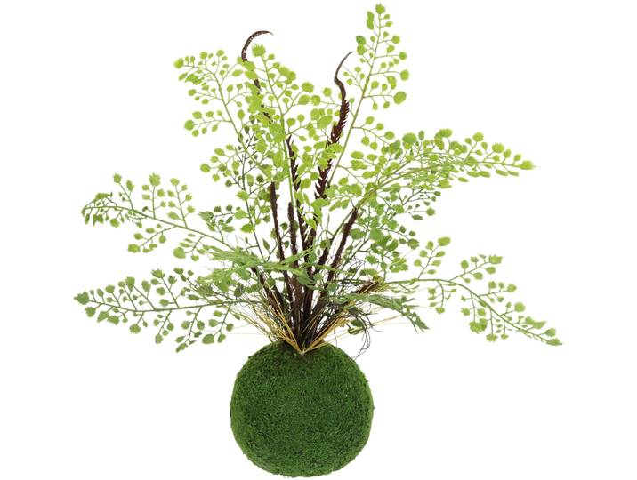 Kunstpflanze I.GE.A. Farnbusch auf Mooskugel , grün, B:28cm H:33cm L:28cm, Kunststoff, Kunstpflanzen, Kunstpflanze, Künstliche Pflanze Waldfarn
