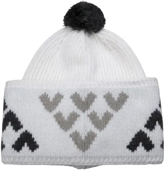 Black Crows Sorbus Beanie (Grau)