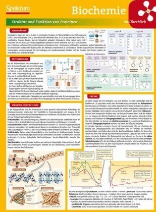 Lerntafeln Biologie - Lerntafel: Biochemie im Überblick (Lerntafeln Biologie) - Preis vom 12.10.2026 11:37:12 h