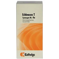 SYNERGON KOMPLEX 4a Echinacea T Tabletten 100 St