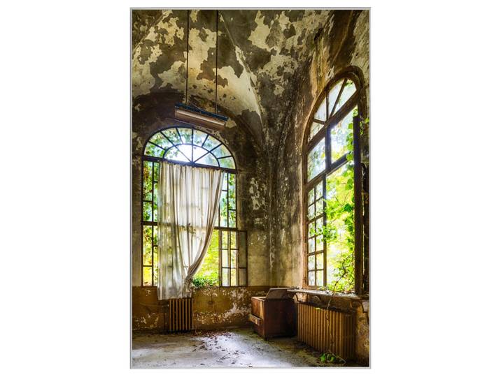 Bild mit Rahmen Raum in Verlassener Villa image LAND