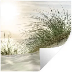 WANDTATTOO Dünen mit Strandhafer in der Sonne des Nationalparks Schleswig-Holsteinisches Wattenmeer Wanddeko 50x50 cm