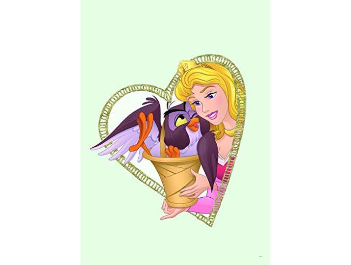 Komar Poster d'art Mural\, 50cm x 70cm\, Aurora & Owl