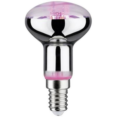 Paulmann LED-Pflanzenlampe Wachstum 230V E14 4W Bernstein 1St.