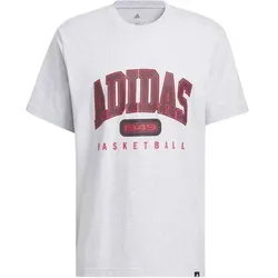 ADIDAS Herren Shirt Collegiate Grafik, Größe XS in Grau Grau