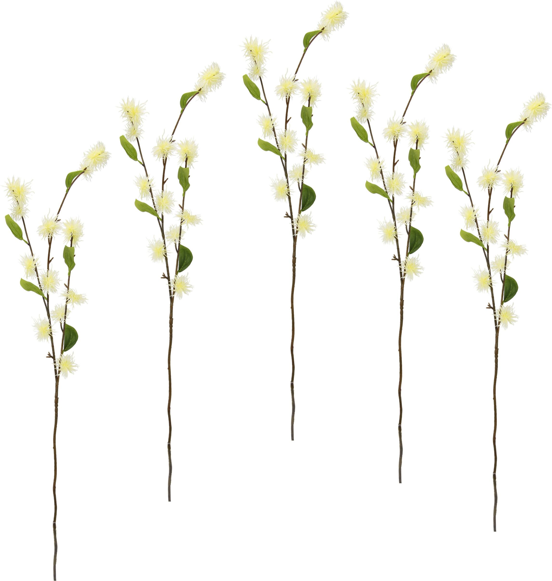 Kunstblume I.GE.A. "Zaubernuss", weiß, B:20cm H:100cm, Obermaterial: 93% Kunststoff, 7% Polyester, Kunstpflanzen, Kunstblume, 5er Set