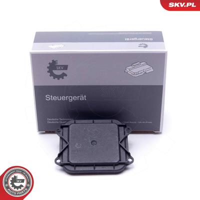 ESEN SKV Steuergerät, Beleuchtung 59SKV135 für BMW